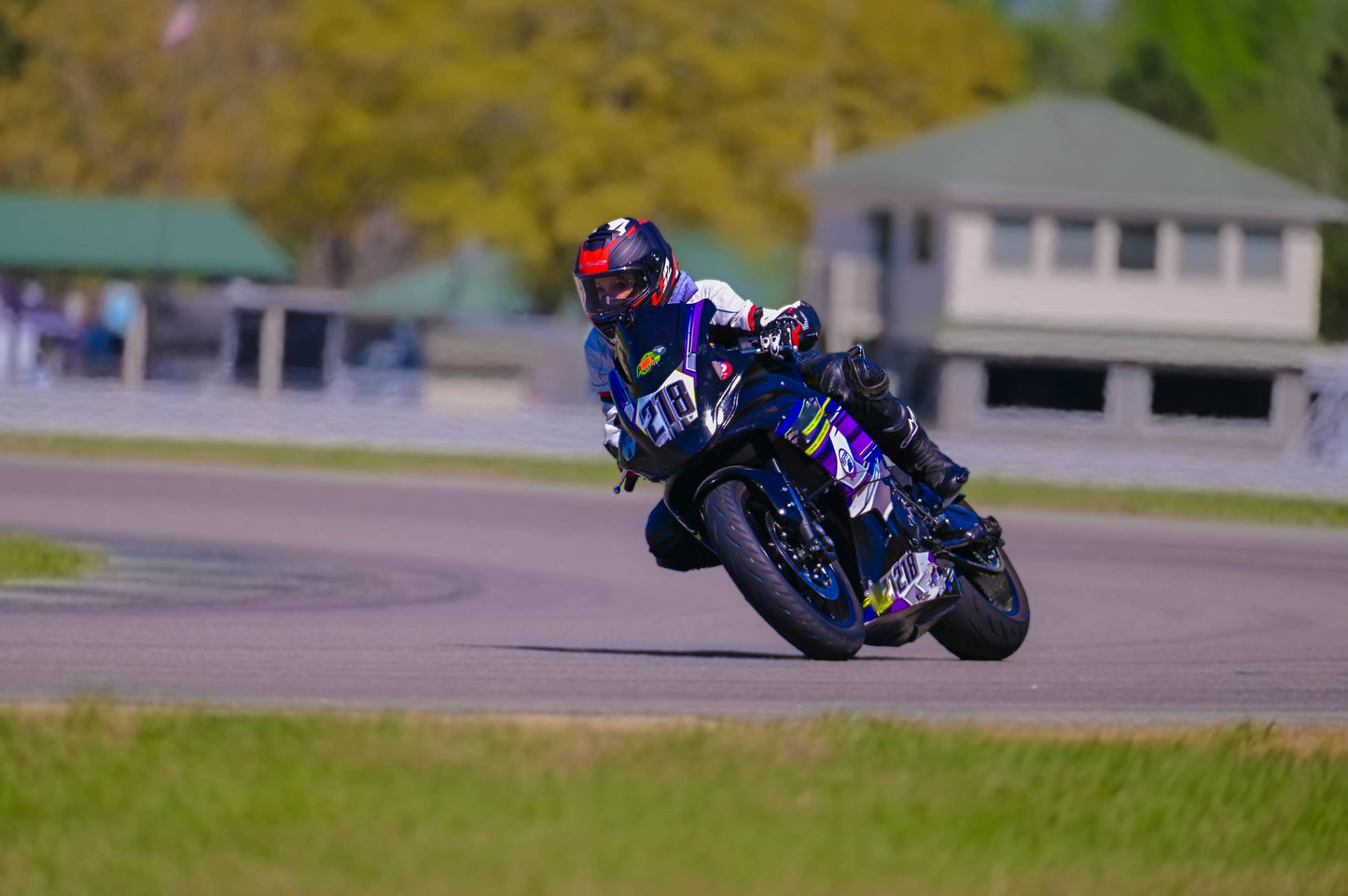 Purple Yamaha R7